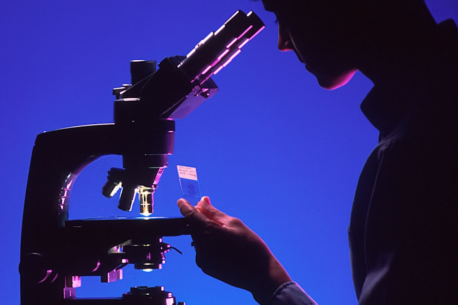 A fertility clinic laboratory of the kind international patients travel to Greece for