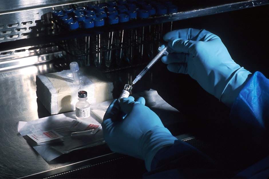 Comparing the Czech Republic and Spain for egg-donation IVF abroad